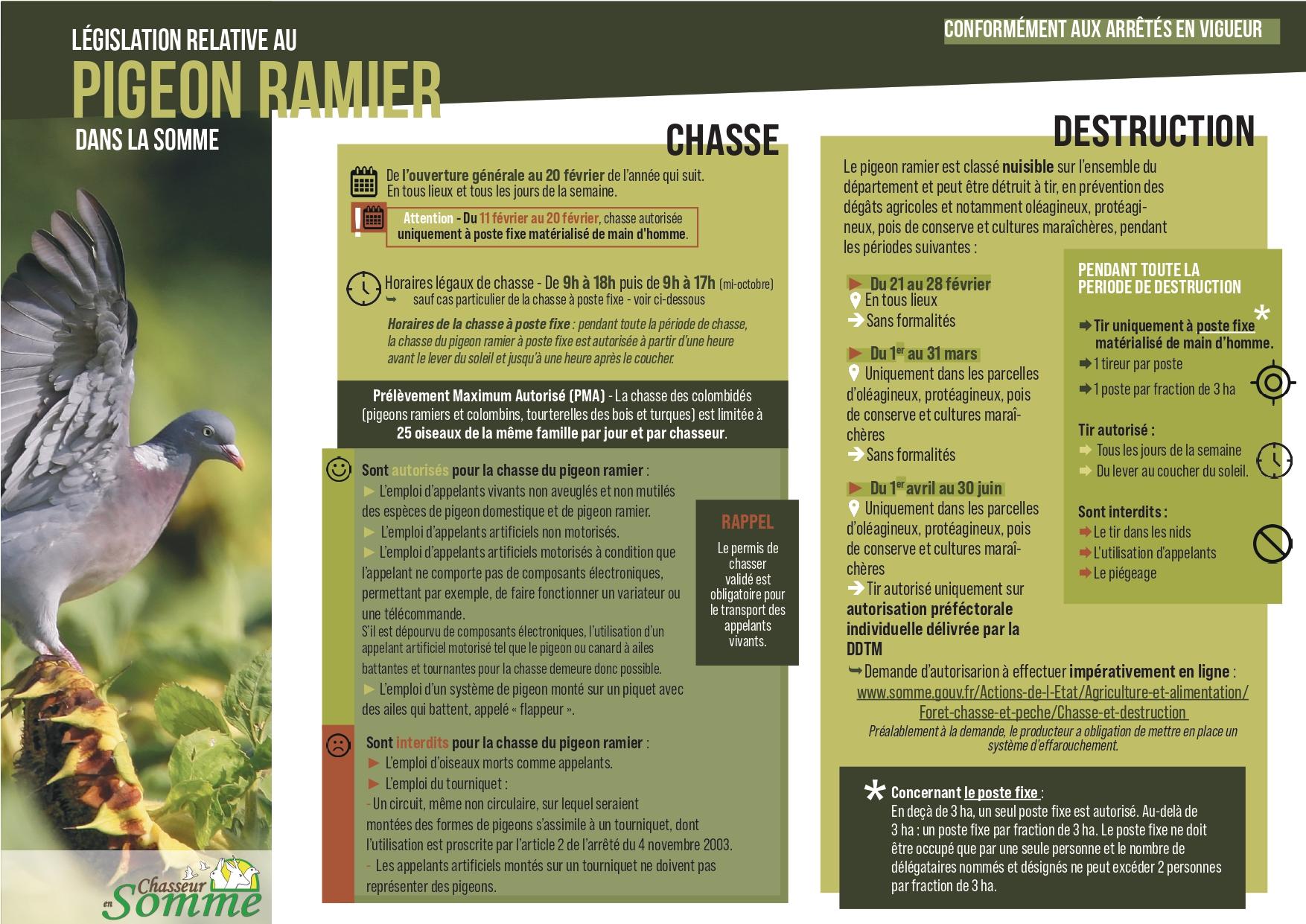 Reglementation du pigeon ramier 2025 page 0001 1